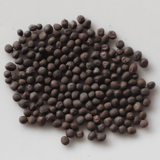 Noolkhol Seeds