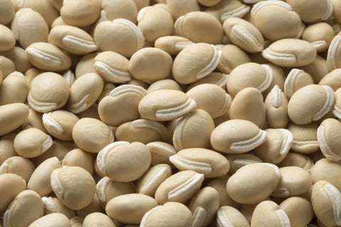 Flat Beans Seeds