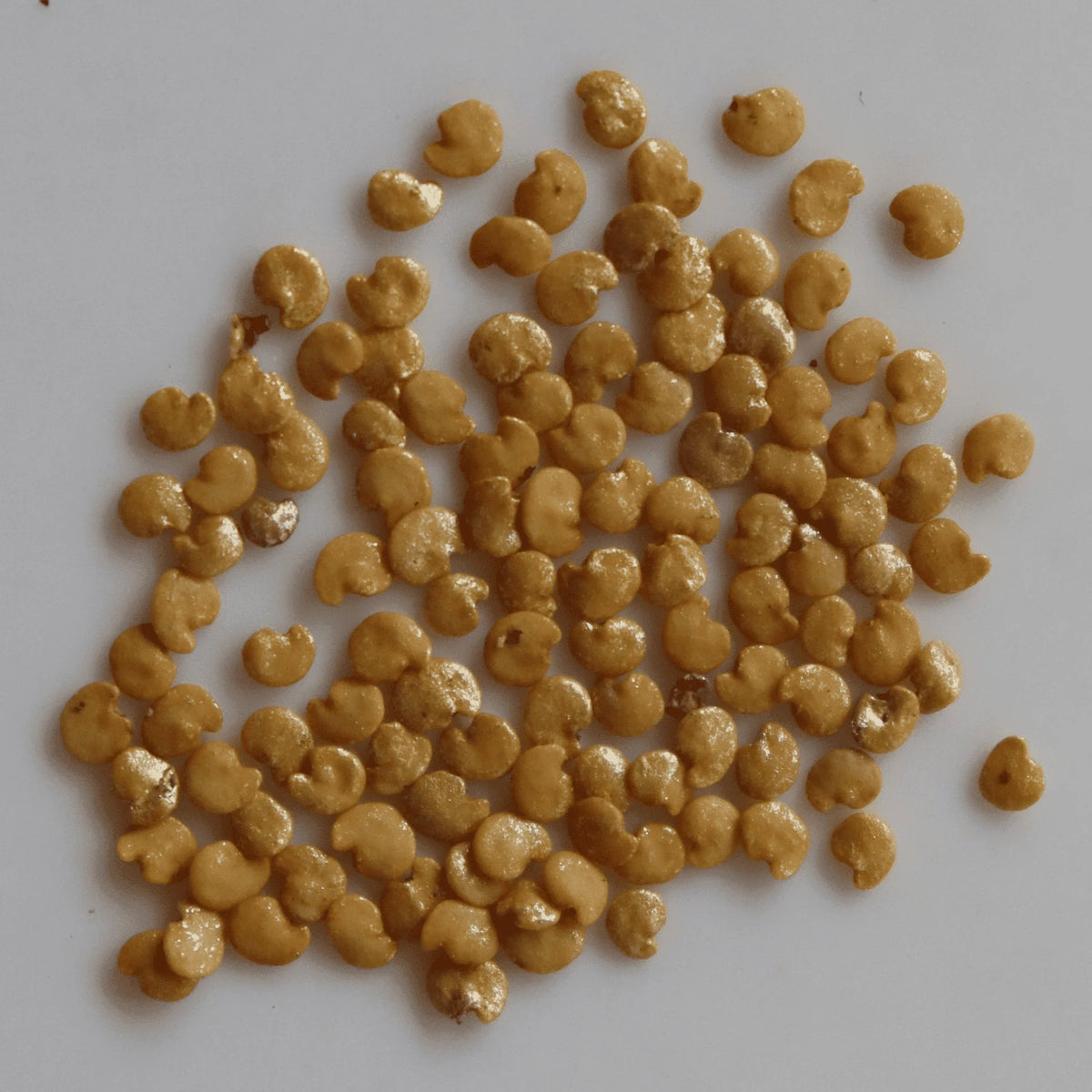 Purple Brinjal Round Seeds