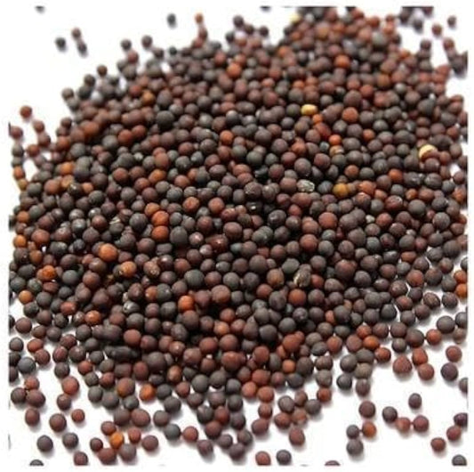 Cabbage Plant Seeds