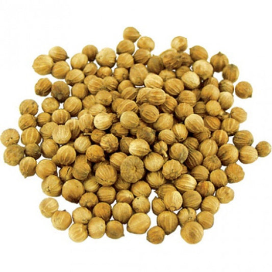 Coriander Plant Seeds