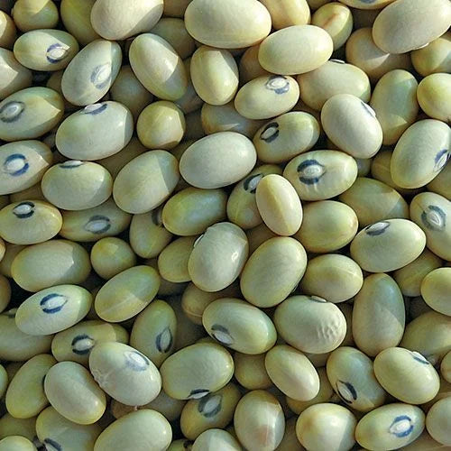 Beans Seeds