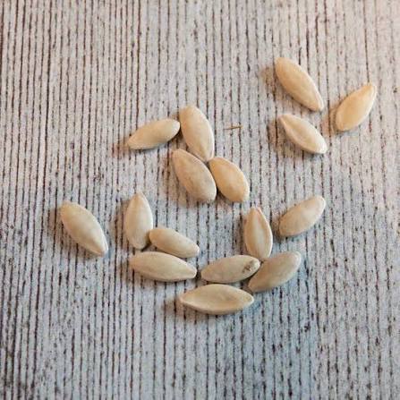 Cucumber Seeds