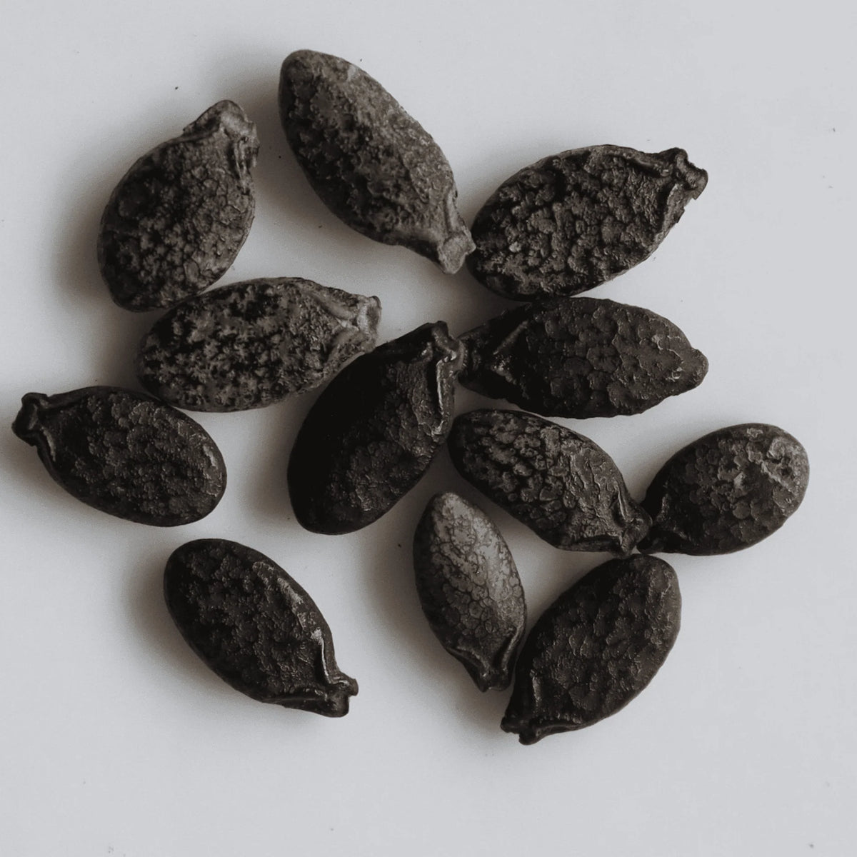 Ridge Gourd Seeds