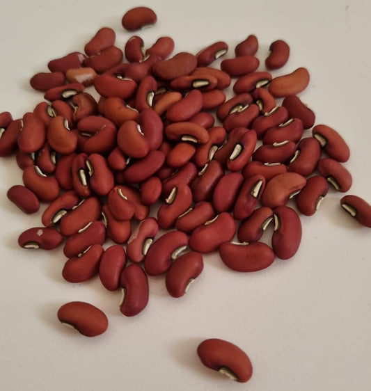 Long Beans Seeds