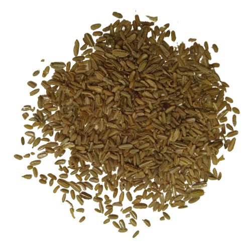 Carrot Seeds