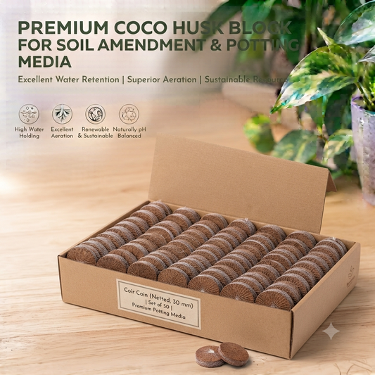 Coir Coin (Netted, 30 mm) (Set of 50)