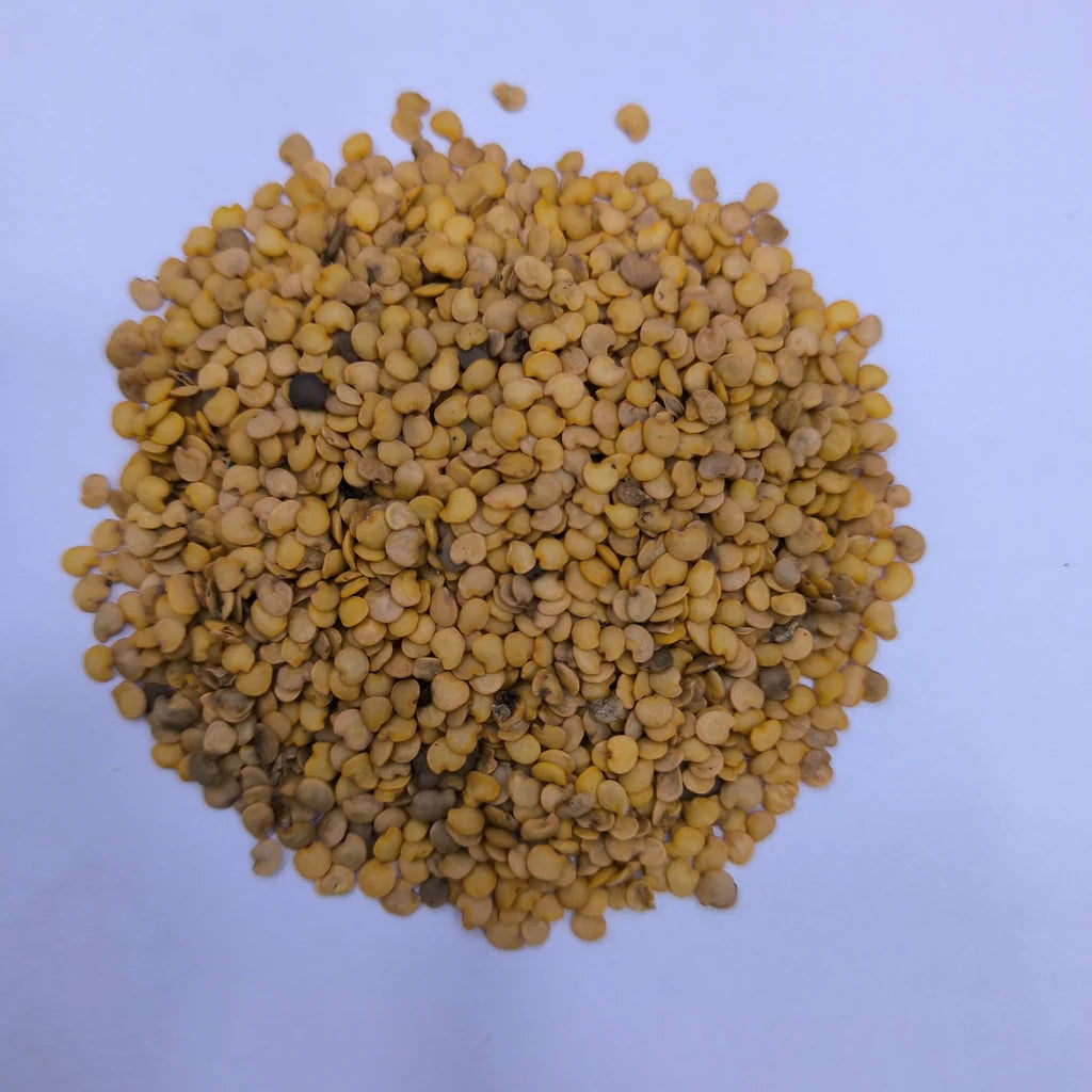 Green Brinjal Round Seeds