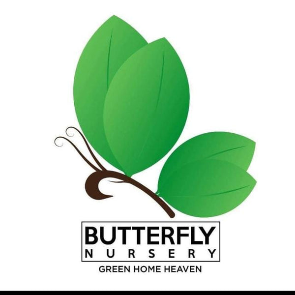 Butterfly Nursery