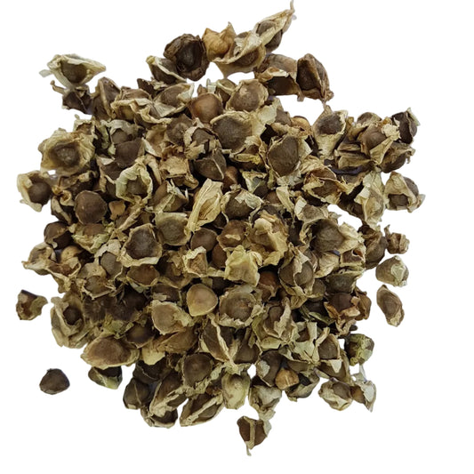 Drumstick Plant Seeds