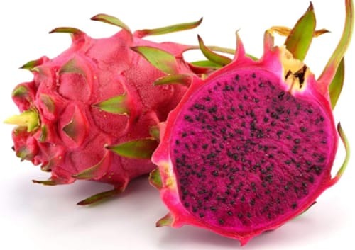 Dragon Fruit Red Plant