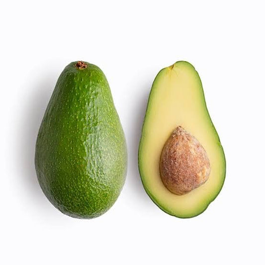 Avocado Plant