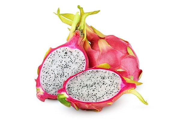White Dragon Fruit Plant