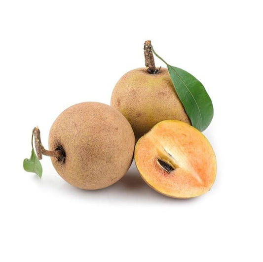 Ball Sapota Plant