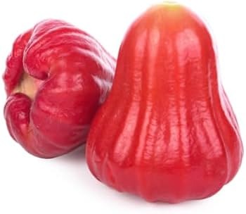 Apple Jamba Plant