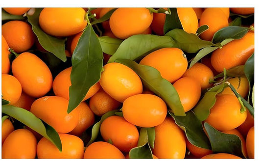 Israel Orange