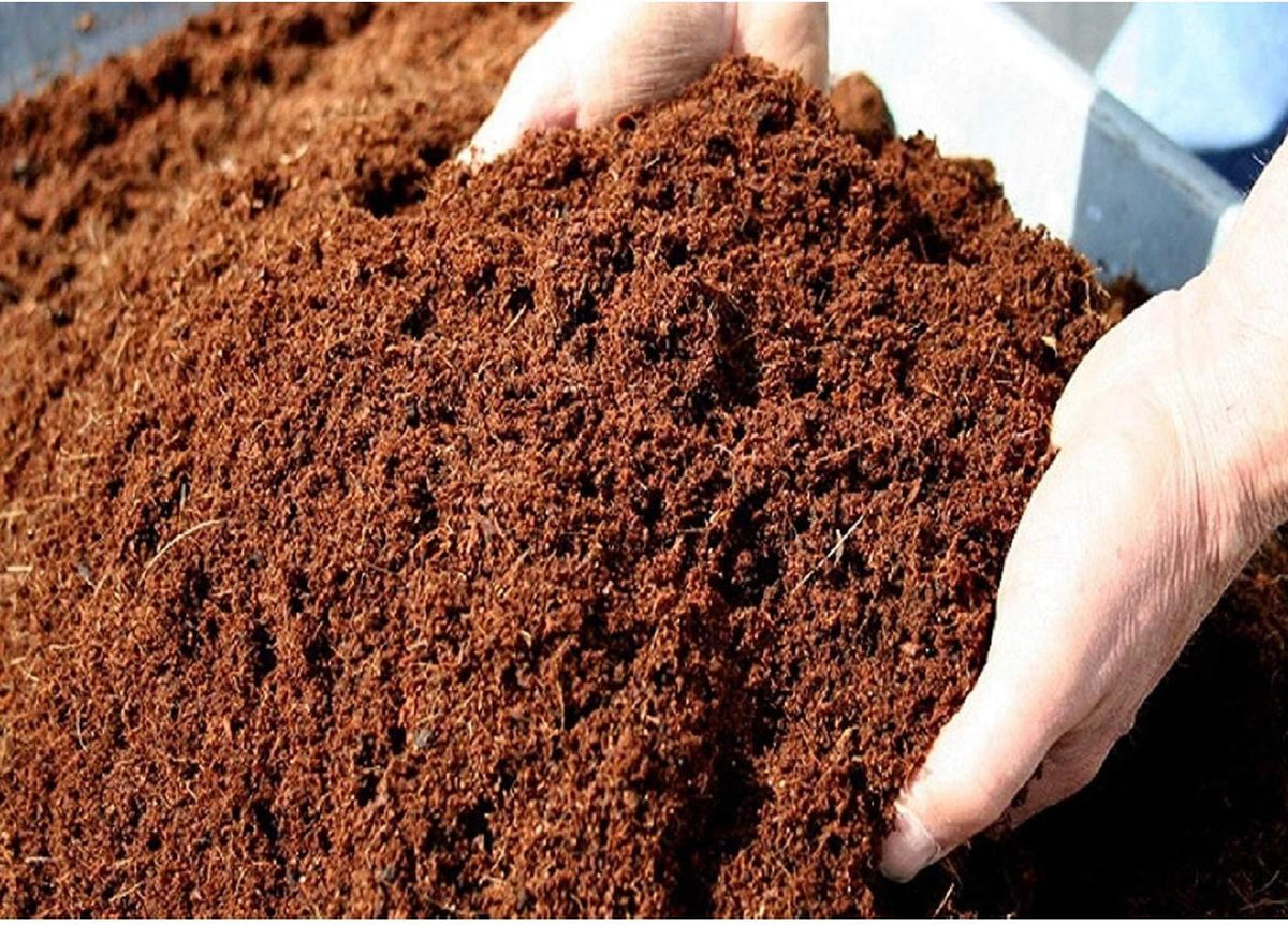 Cocopeat (650g Block)