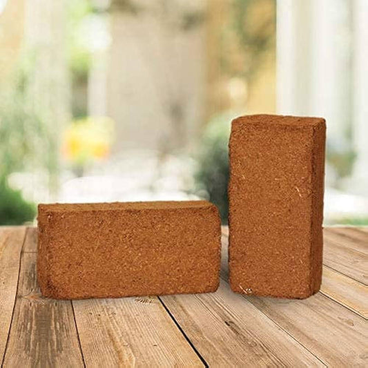 Cocopeat (650g Block)