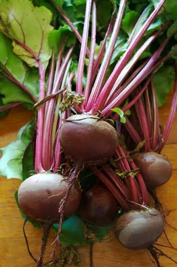 Beetroot Seeds