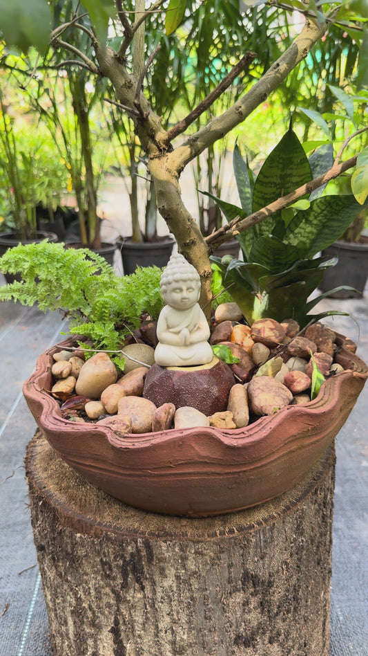 Bonsai