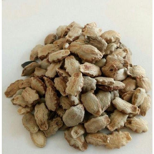 Snake Gourd Seeds