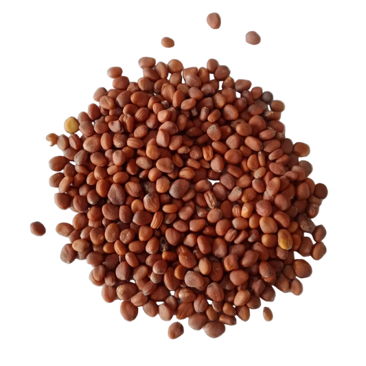 White Radish Seeds